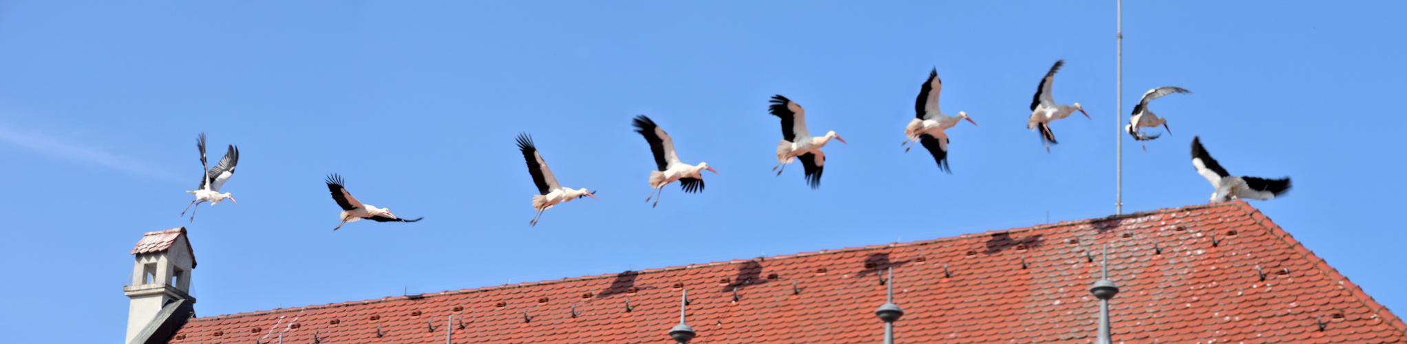 Höchstadt Rathaus Startbahn Dach - Storch Line - Abflug