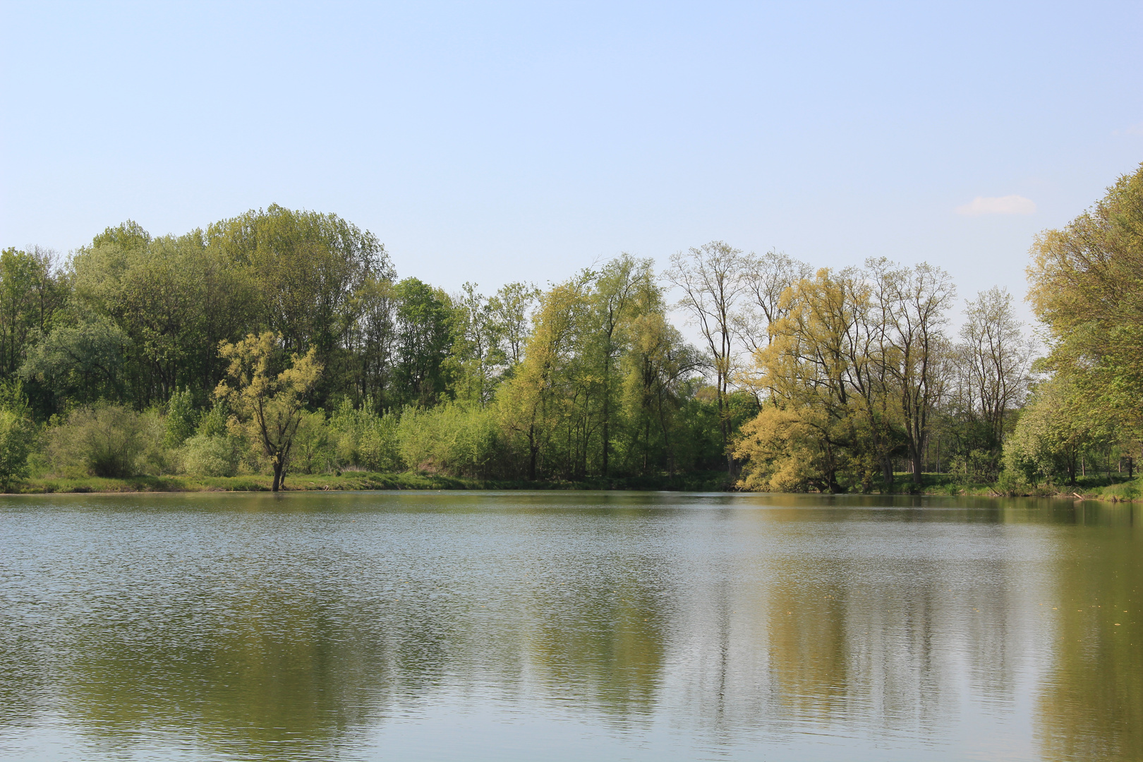 Höchstädter Angelsee