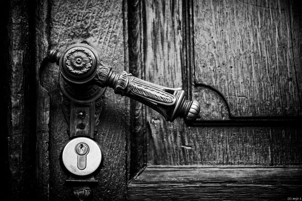 Höchster Fotowalk 08