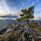 Höchster "Gipfel" im Kanton Baselland (1204 m)