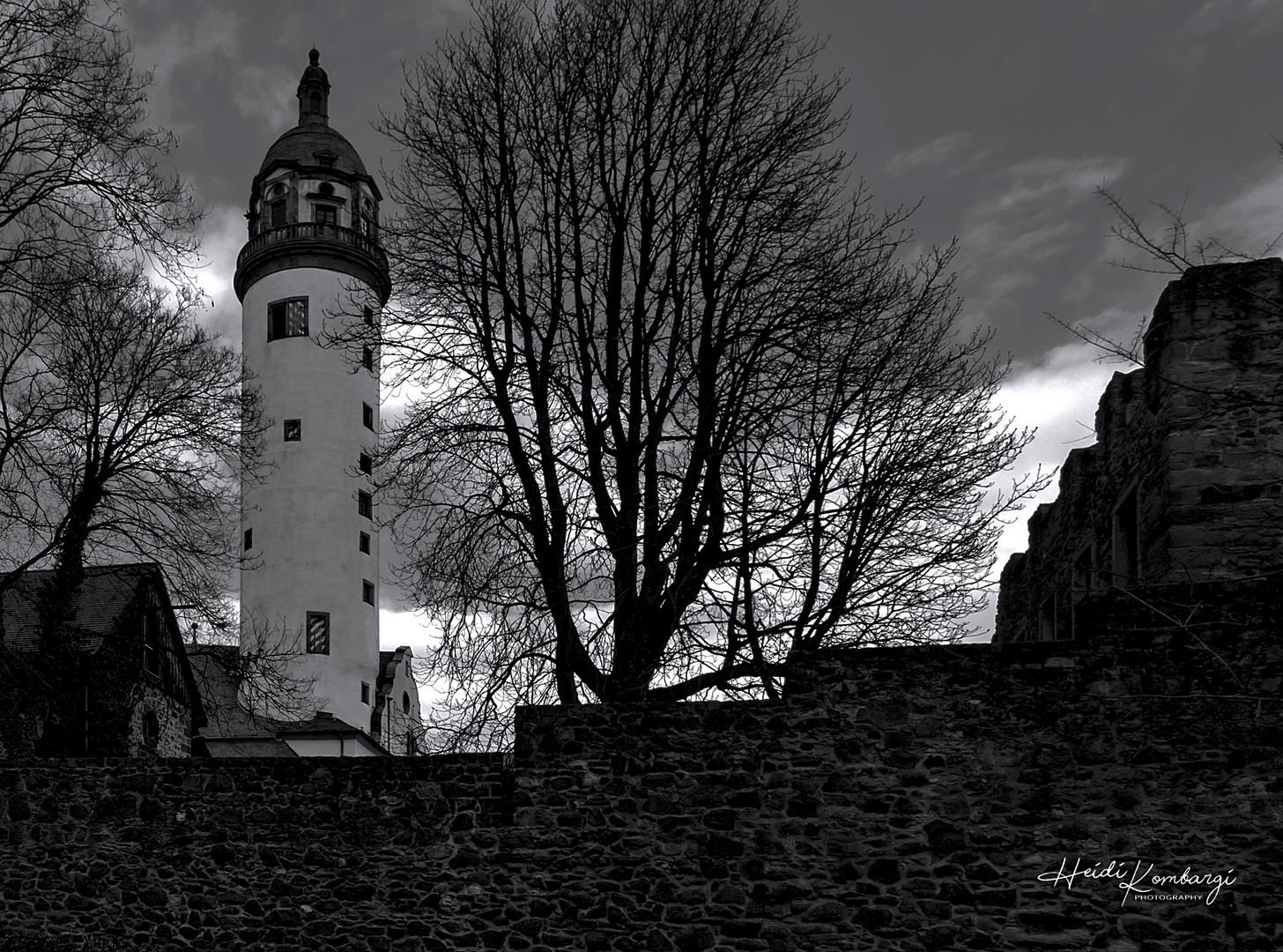 HÖCHSTER SCHLOSS