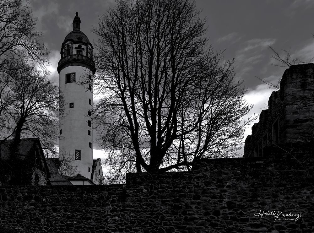 HÖCHSTER SCHLOSS