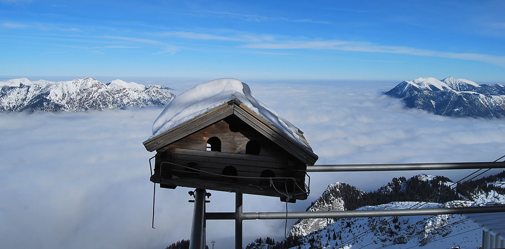 Höchstgelegenes Vogelhaus in Oberbayern?