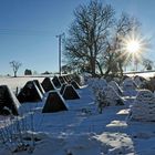 höckerlienie in eifel schnee