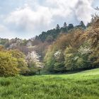 Höckerlinie am Gut Kalkhäuschen