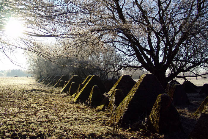 Höckerlinie in Simmerath Eifel