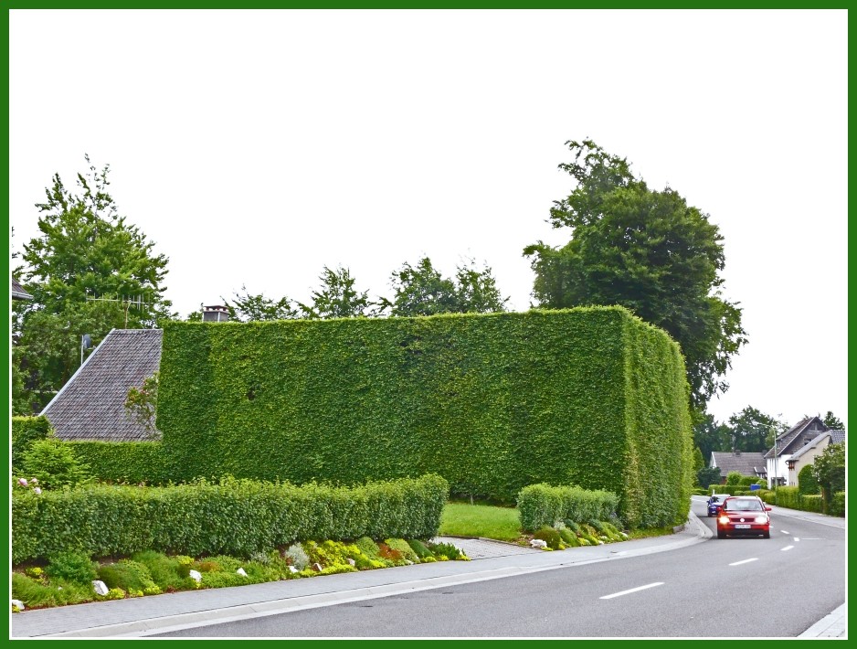 Höfen im "Monschauer Heckenland"