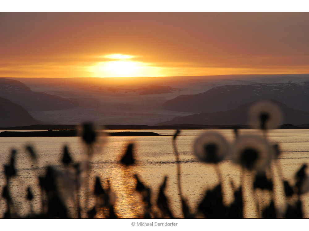 [ Höfn ]