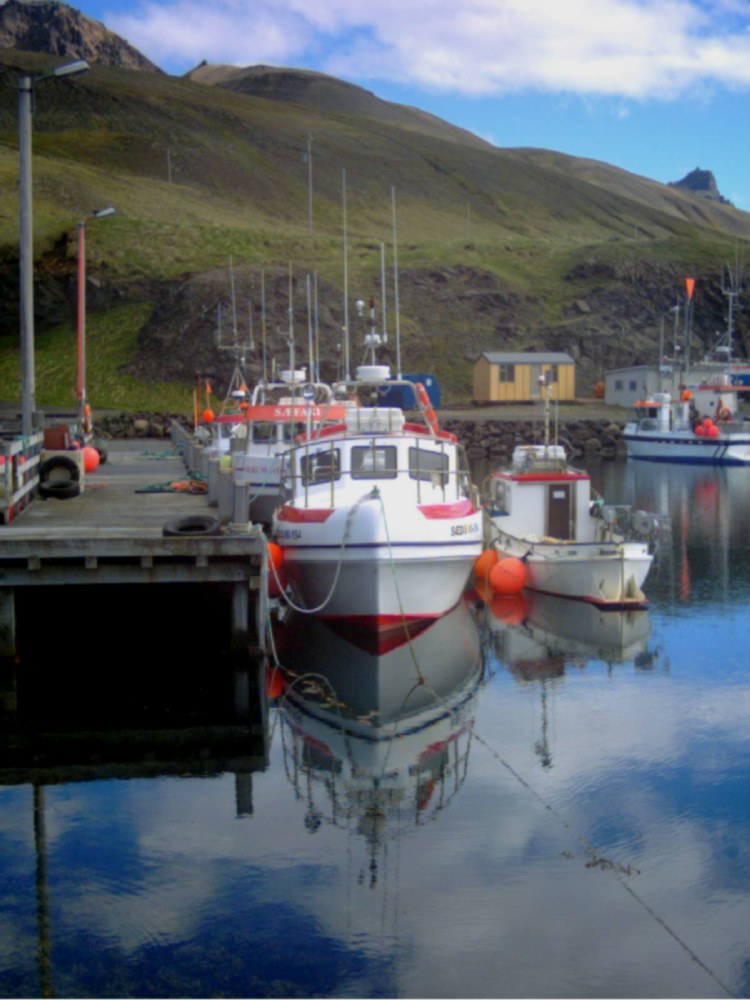 Höfn bei Borgarfjöður, Ostisland