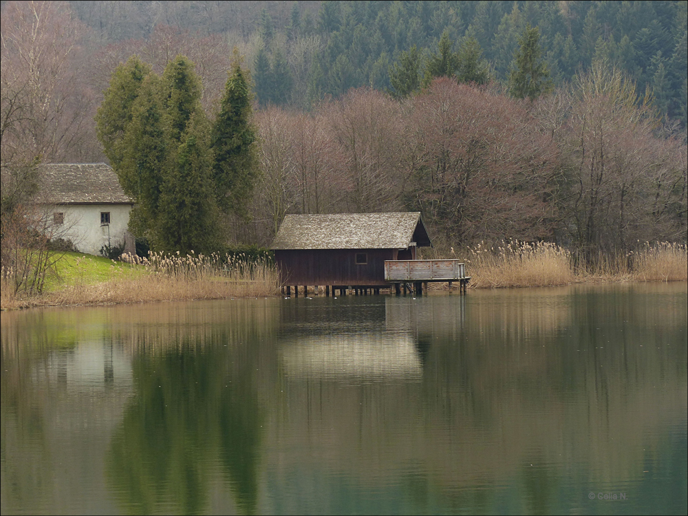 Höglwörther See