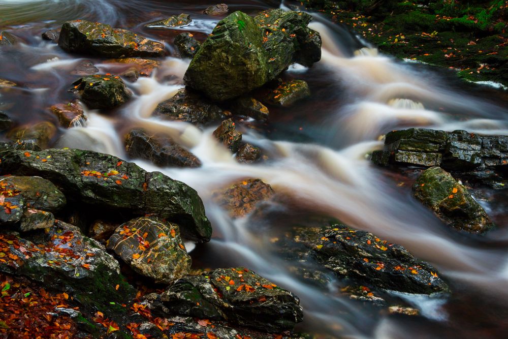 Hoëgne (Cascade Leopold)