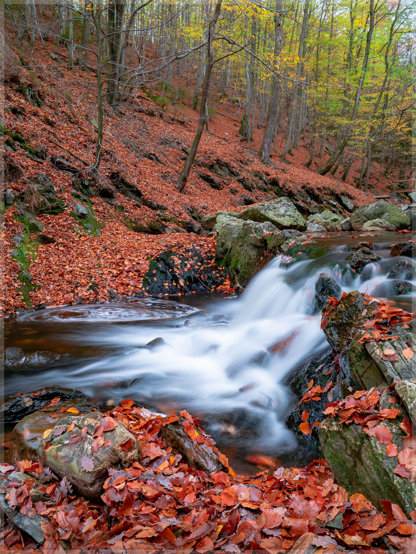 Hoegne im Herbst - Var.1