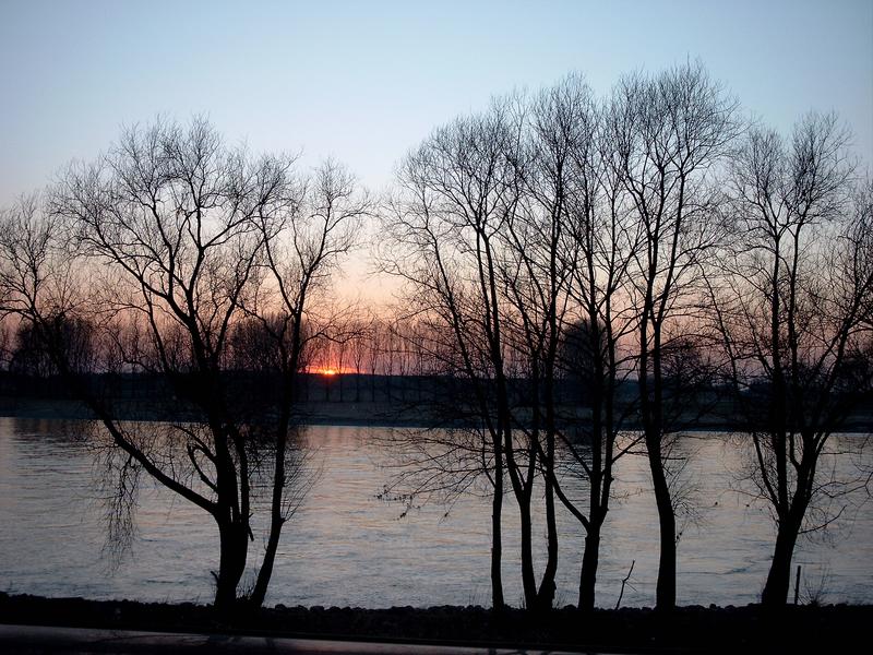 Höhe Monheim am Rhein am selben Fluß