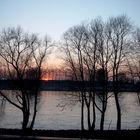 Höhe Monheim am Rhein am selben Fluß