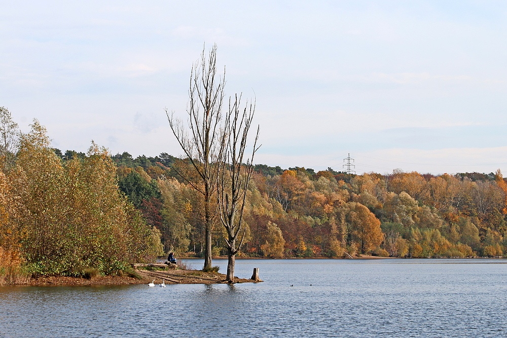 Höhenfelder See