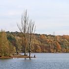 Höhenfelder See