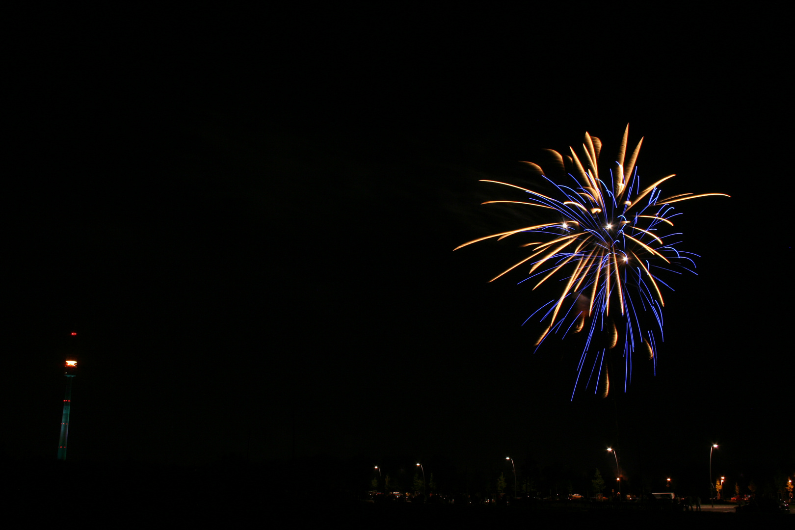 Höhenfeuerwerk Lichterfest 2010 Westfalenpark Dortmund 5