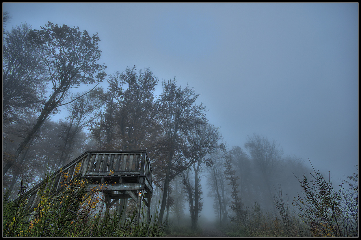 "Höhenflug" im Nebel