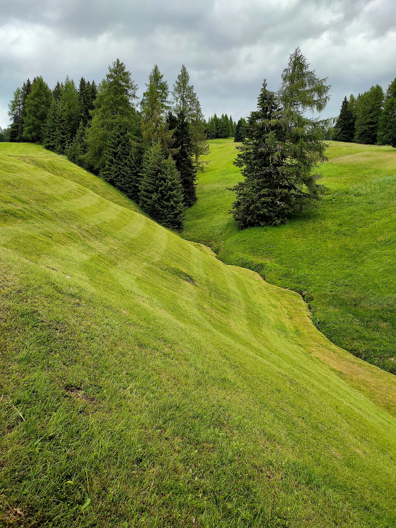 Höhenlinien