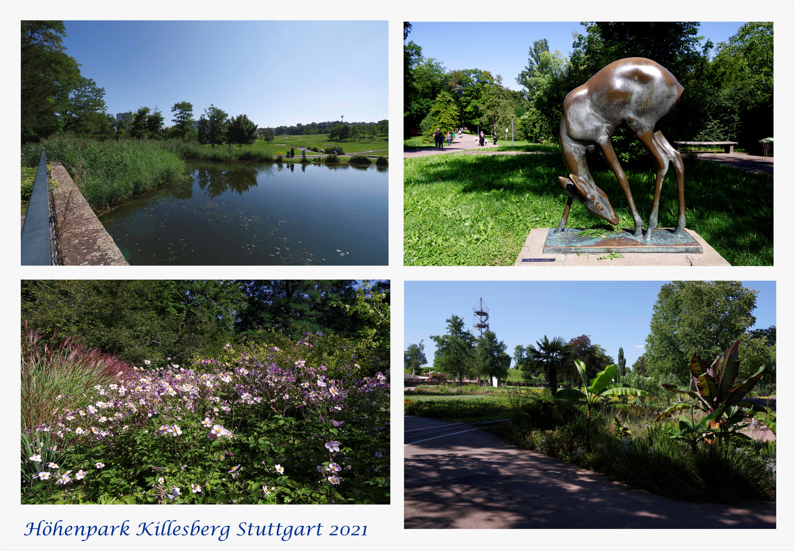 Höhenpark Killesberg 2