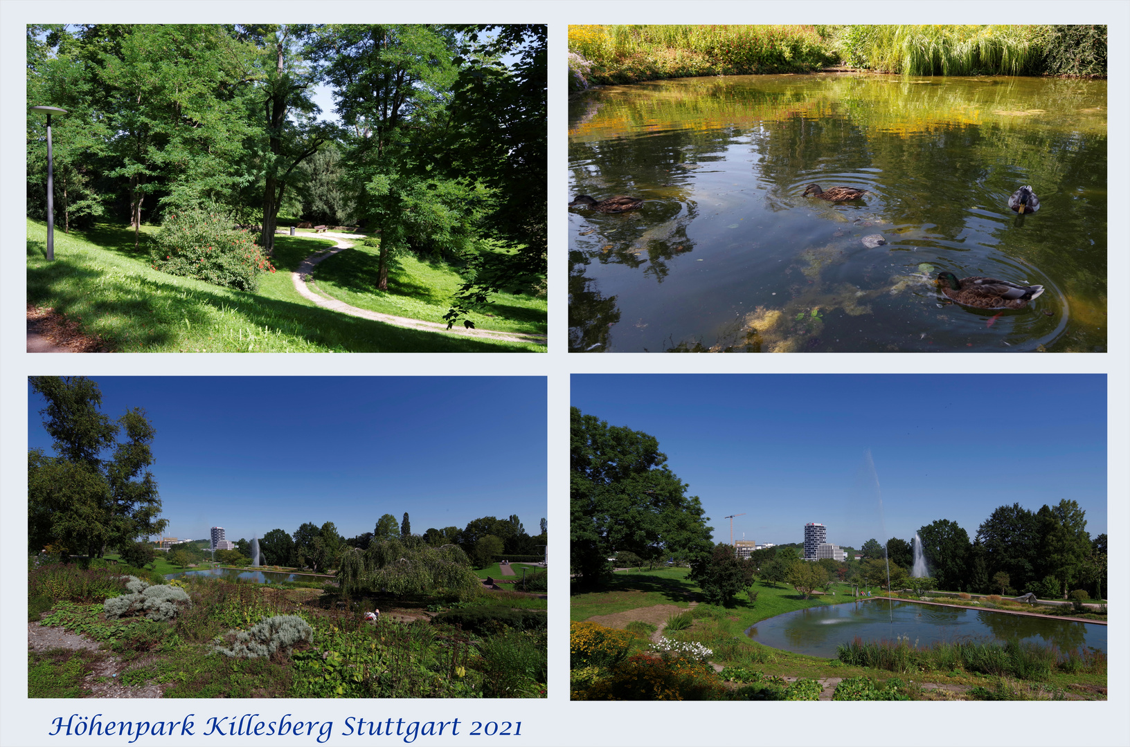 Höhenpark Killesberg 5