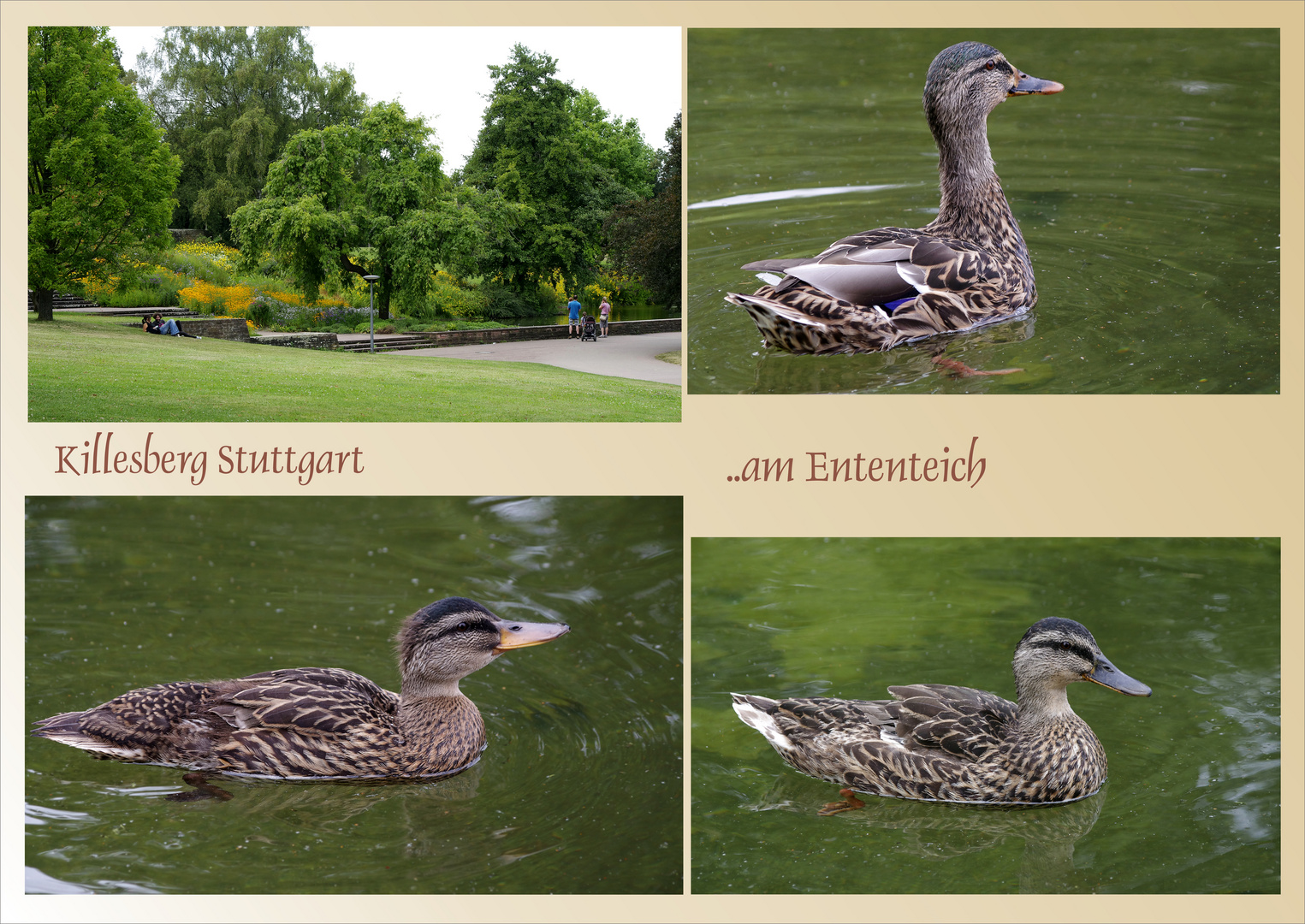 Höhenpark - Killesberg Stuttgart 