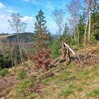 Höhenwanderweg bei Scharfenstein