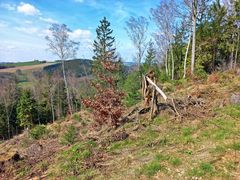 Höhenwanderweg bei Scharfenstein