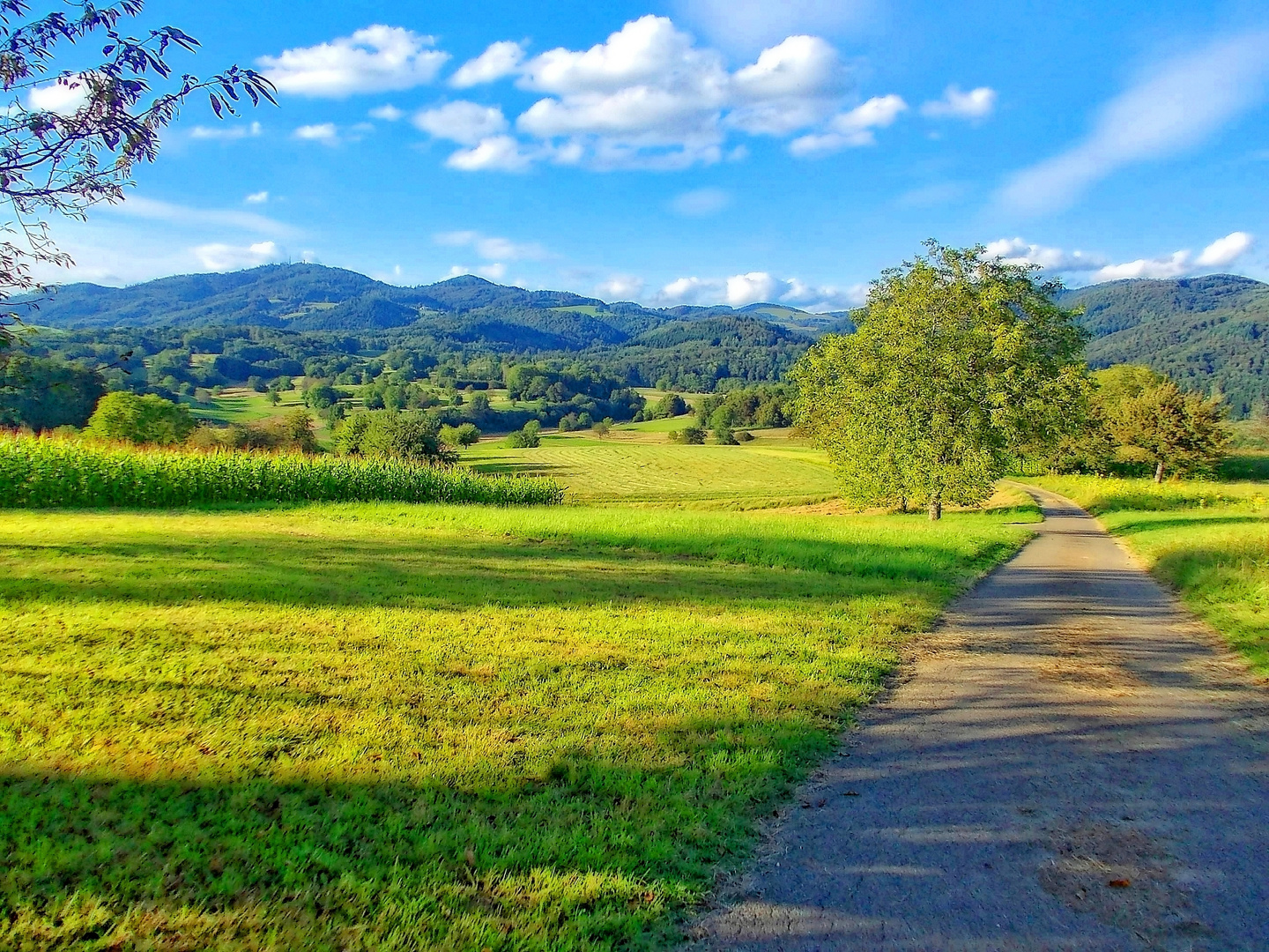 Höhenwanderweg in die Berge