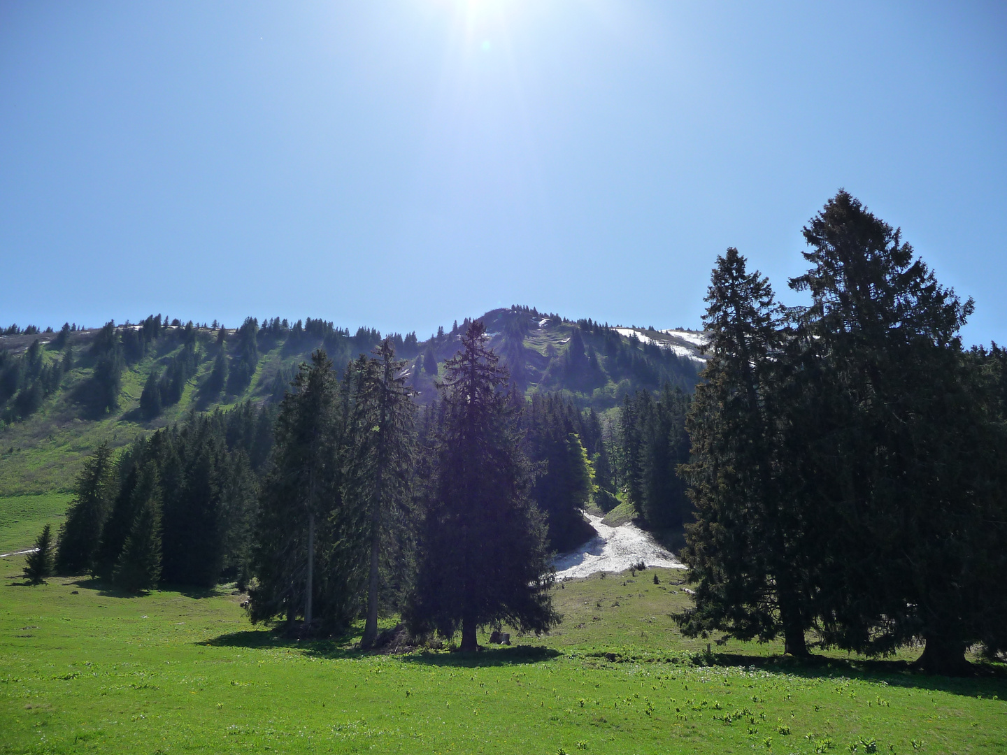 Höhenwanderweg Söllereck im Allgäu