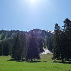 Höhenwanderweg Söllereck im Allgäu