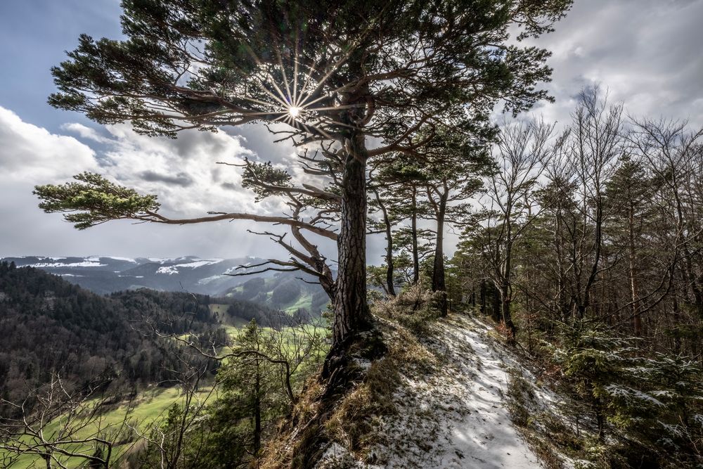 Höhenweg Foto & Bild europe, schweiz & liechtenstein, landschaft