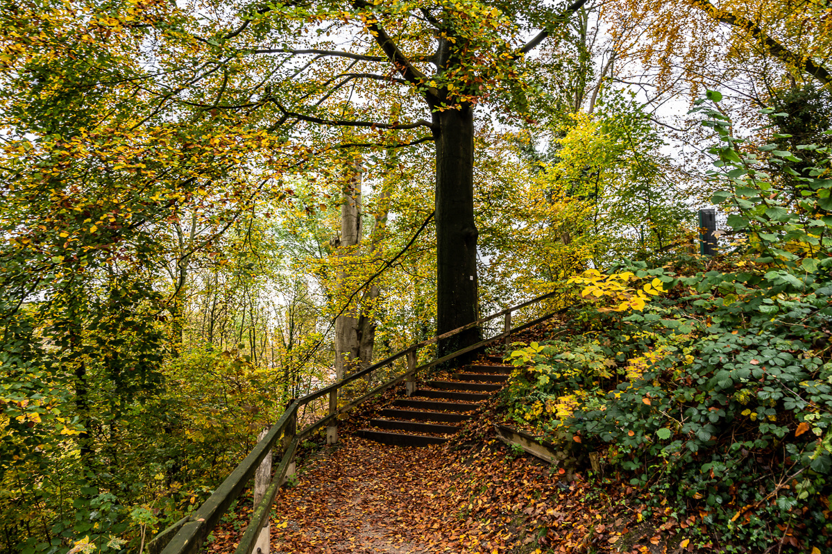 Höhenweg im Herbst