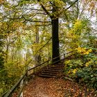 Höhenweg im Herbst