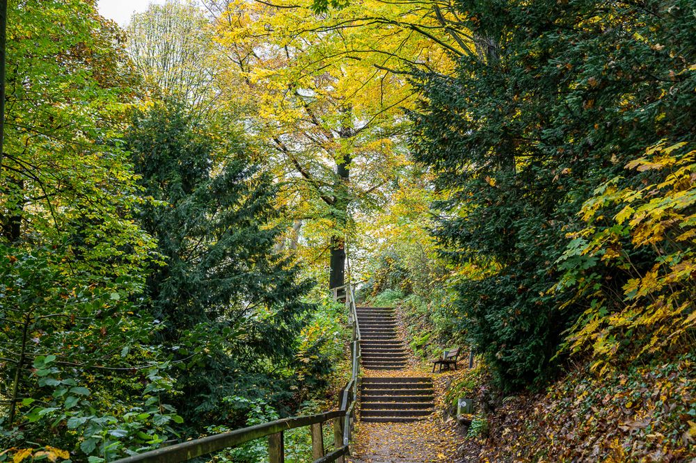 Höhenweg im Herbst 1