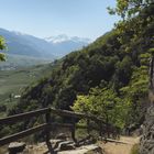 Höhenweg nach Naturns und Pauls mit Ortlergruppe