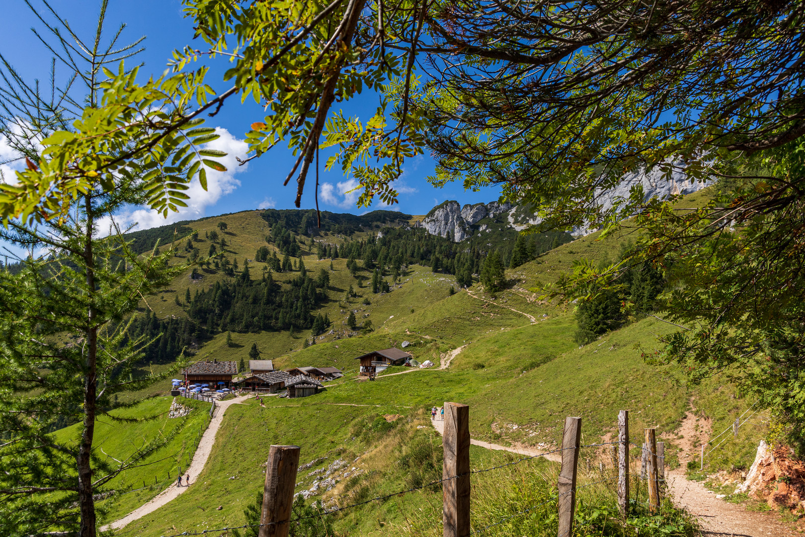 Höhenweg zur Alm