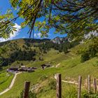 Höhenweg zur Alm