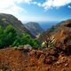 gomera