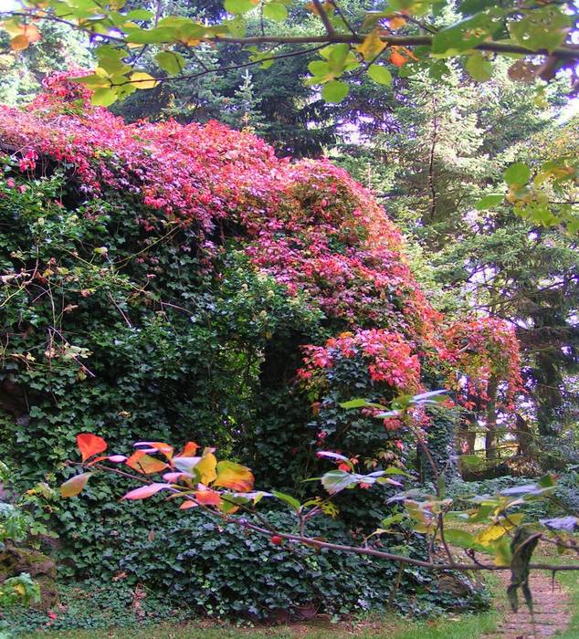 Höhepunkte des Herbstes bei uns