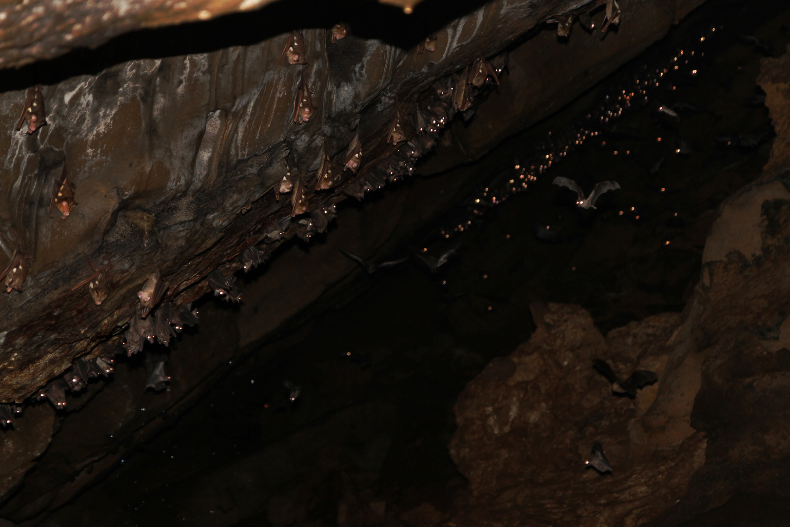 Höhle im Dschungel von Sumatra