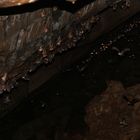 Höhle im Dschungel von Sumatra