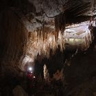 Höhle nahe Punakaiki (Neuseeland)