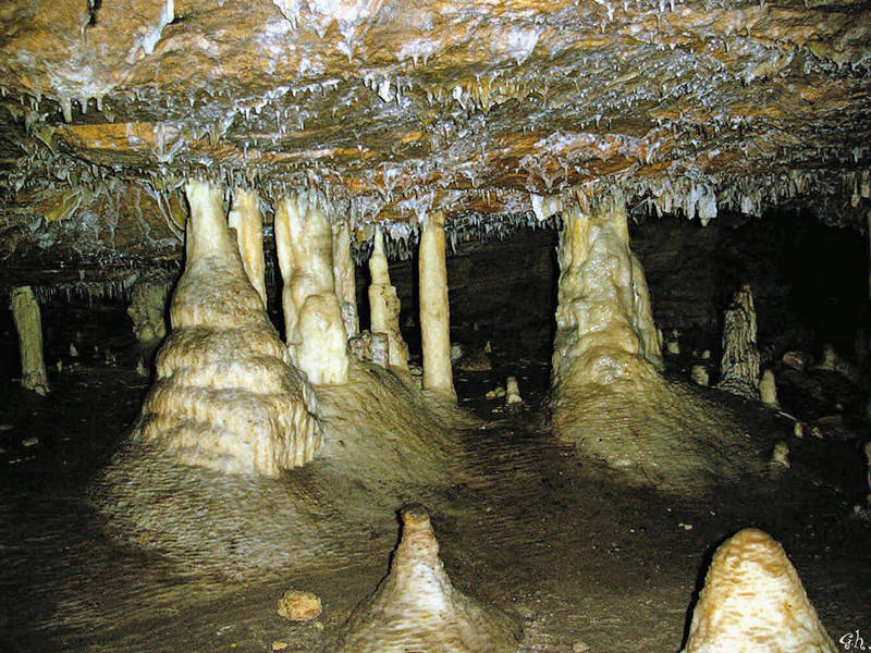 Höhle unter den Kauritrees..!!!