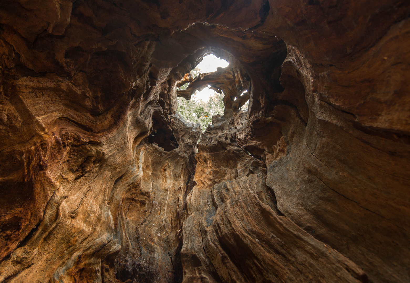 Höhlenbau der Natur