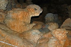 Höhlentier aus der Steinzeit