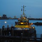 Hoek van Holland, Lotzenboot im Hafen