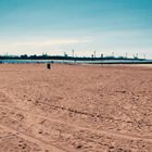 Hoek van Holland: Strand und Rhein Mündung