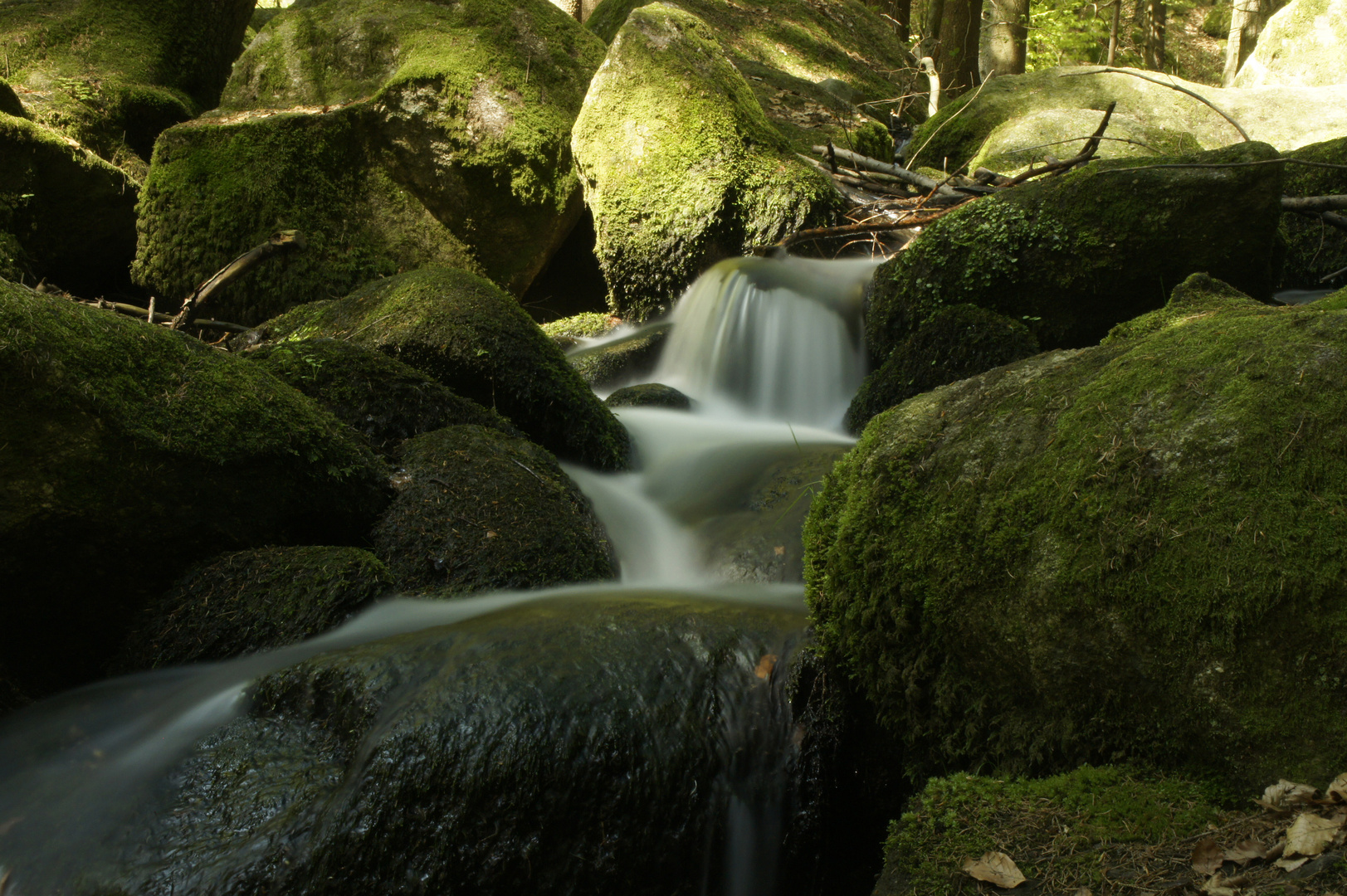 Höllbach in satten Grün