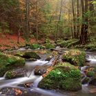 Höllbachherbst